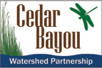 Cedar Bayou watershed